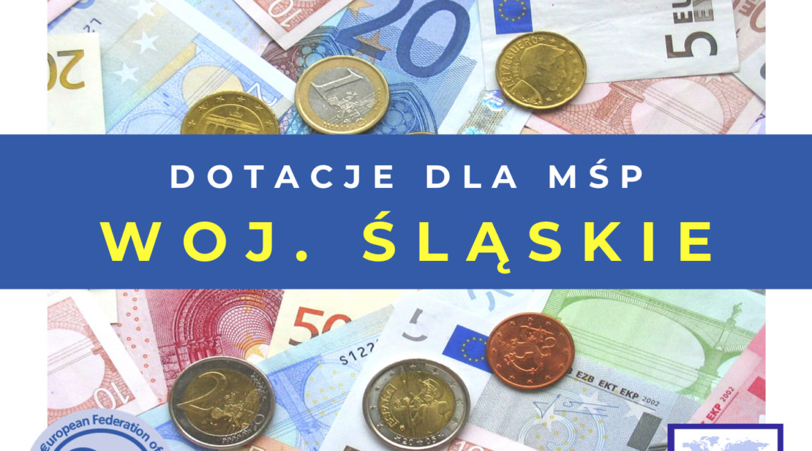 Dofinansowanie na szkolenia w województwie śląskim – nabór wniosków 5-8 maja 2020r.